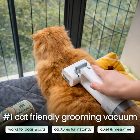 Pet Grooming Kit
