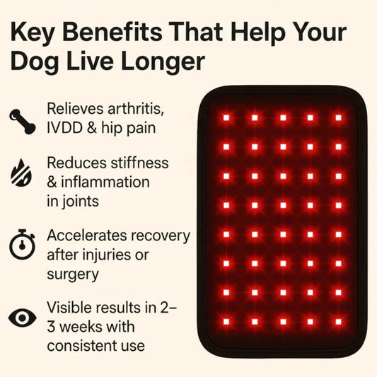 Pet Red Light Pad