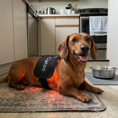 Pet Red Light Pad