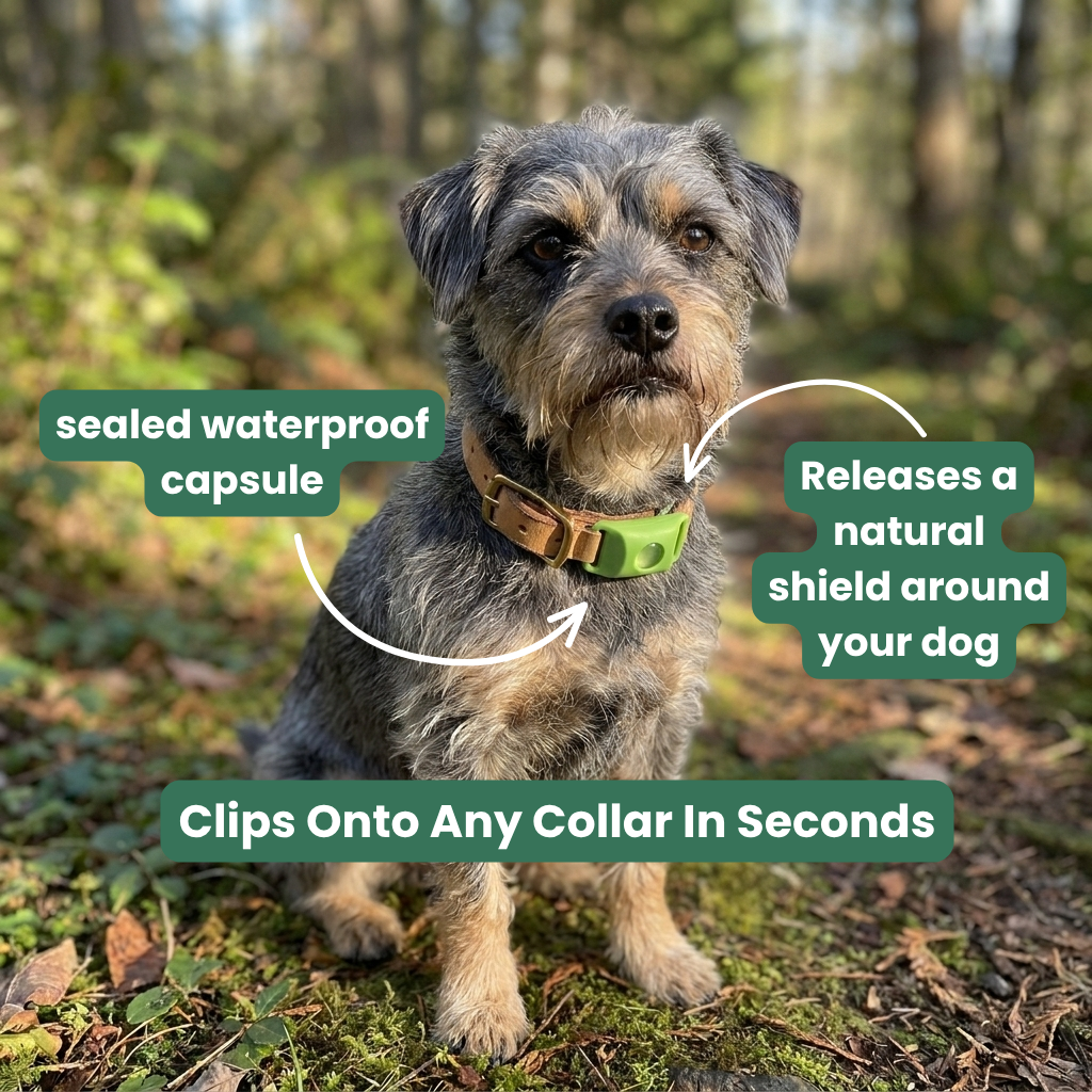 Natural Flea & Tick Pendant