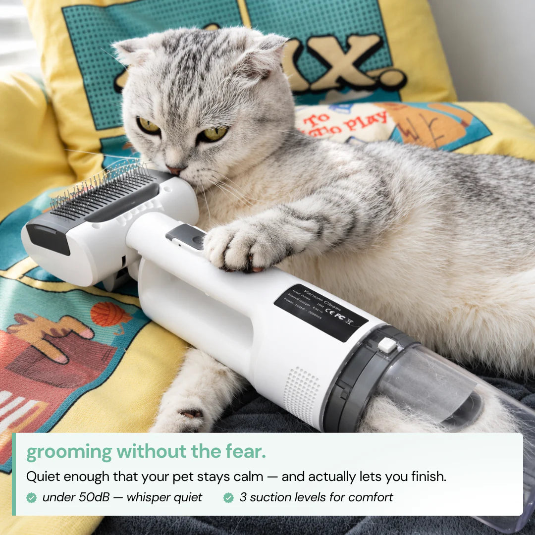 Pet Grooming Kit