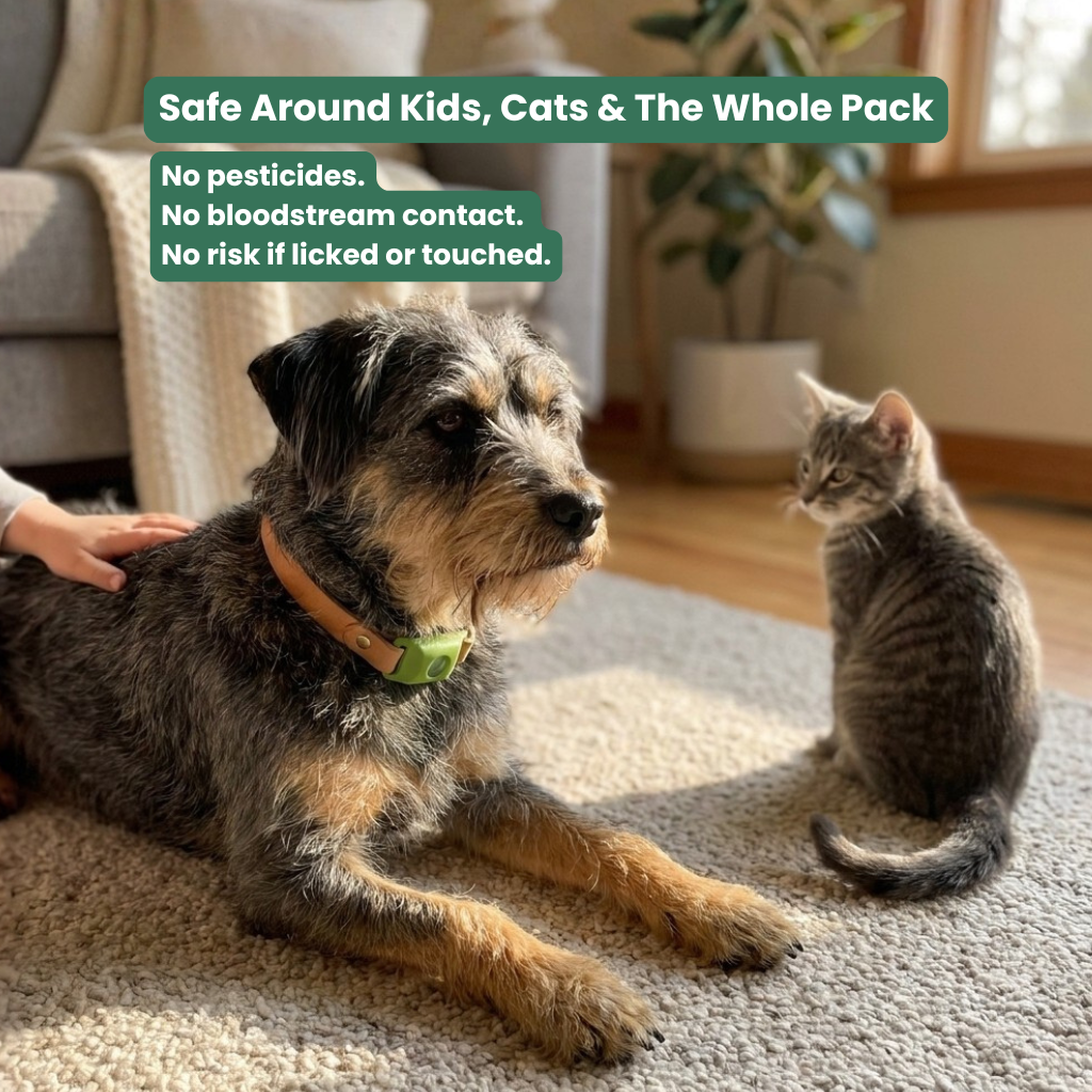 Natural Flea & Tick Pendant