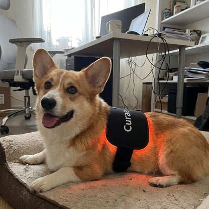 Pet Red Light Pad