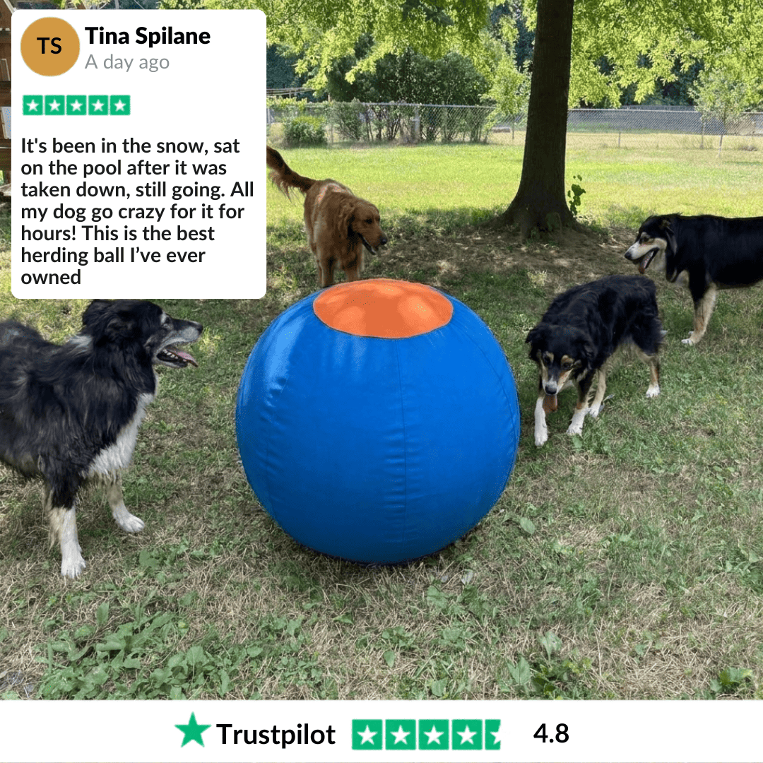 Herding Ball