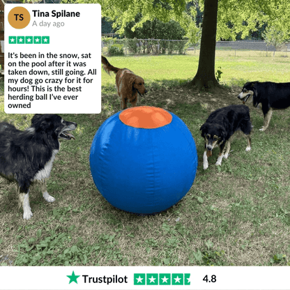 Herding Ball