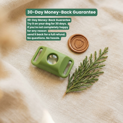 Natural Flea & Tick Pendant