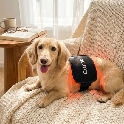 Pet Red Light Pad