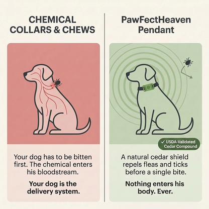 Natural Flea & Tick Pendant