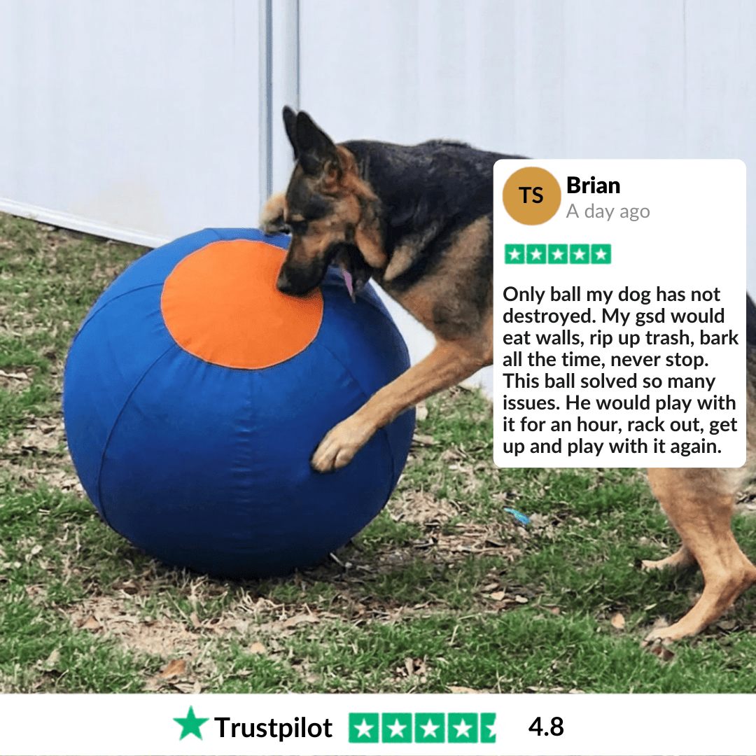 Herding Ball