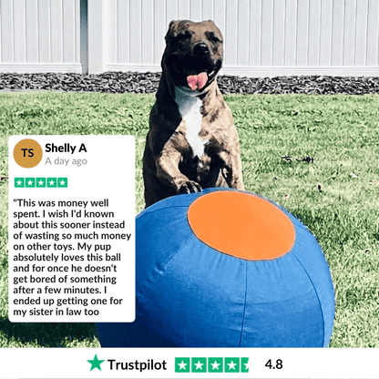 Herding Ball