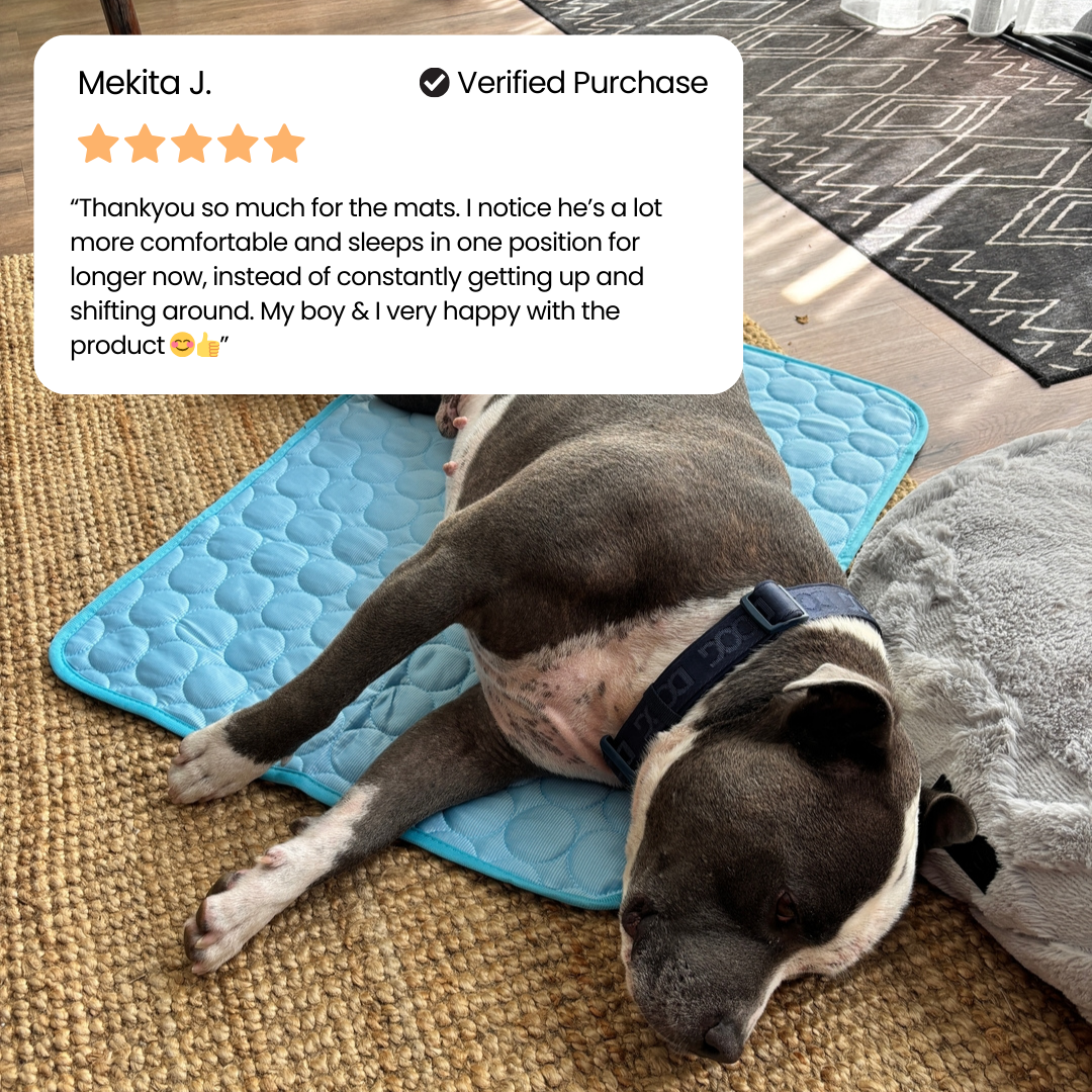 Seluric Cooling mat