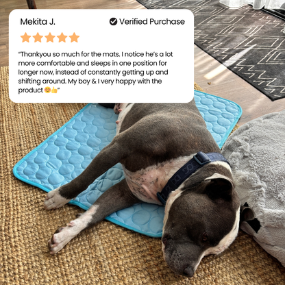 Seluric Cooling mat