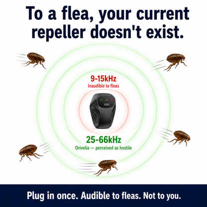 Keep your home pest-free. No chemicals. No effort.