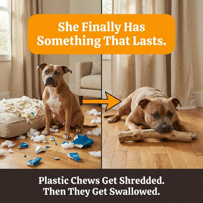 Coffee Wood Chew