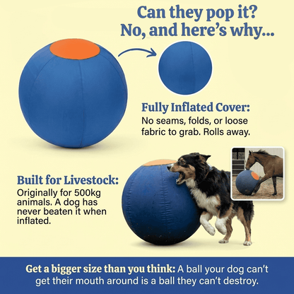 Herding Ball