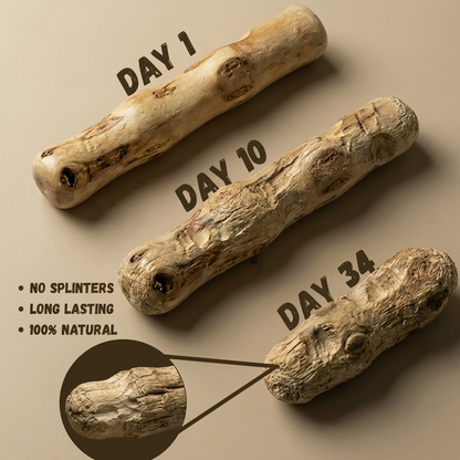 Coffee Wood Chew