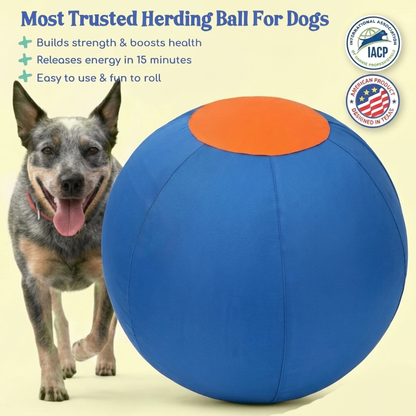 Herding Ball