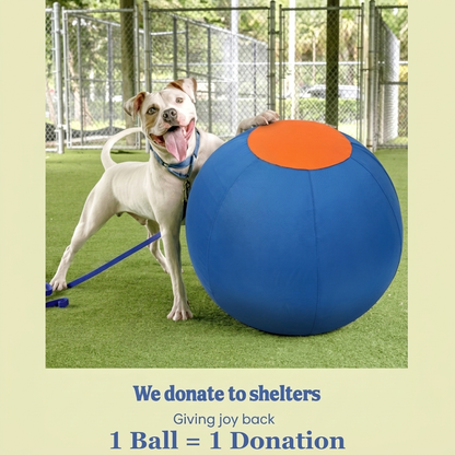 Herding Ball