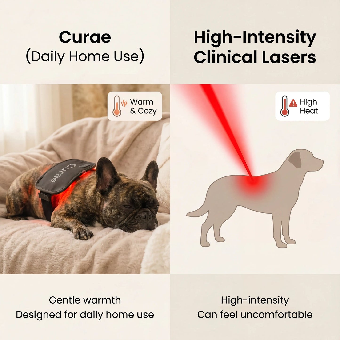 Pet Red Light Pad