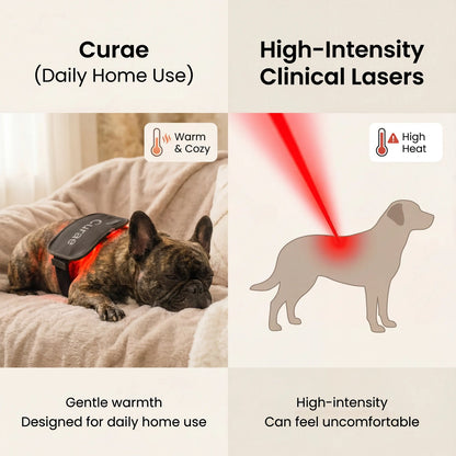 Pet Red Light Pad