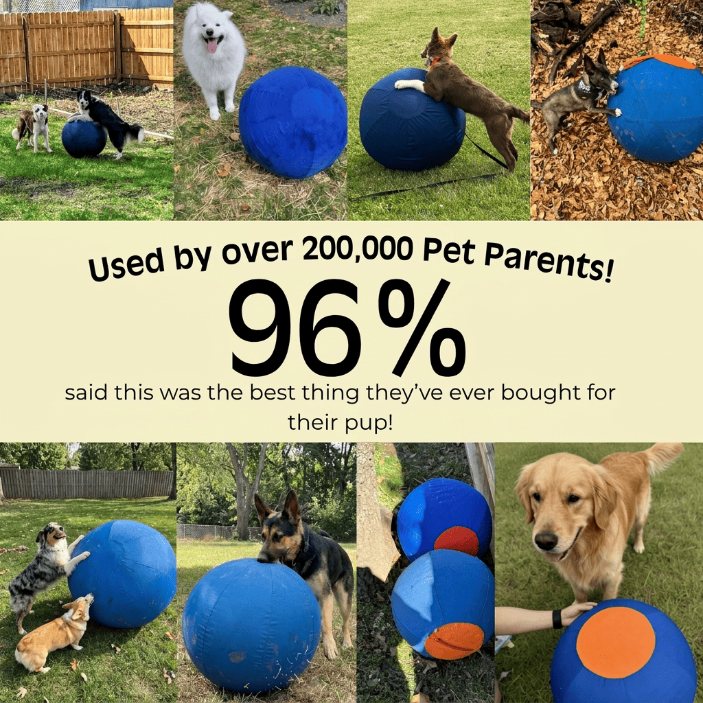 Herding Ball