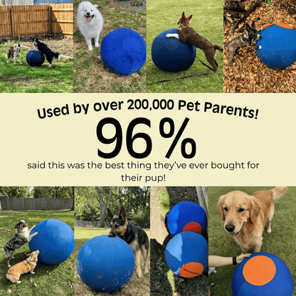 Herding Ball