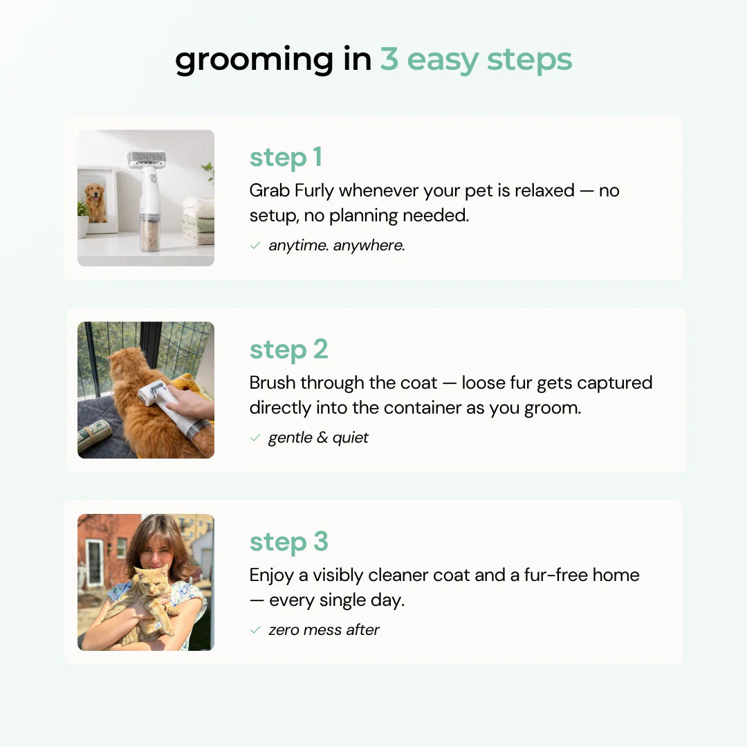 Pet Grooming Kit